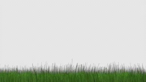 Grassy Thirds Stock Footage 169043635