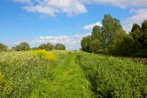 Grassy towpath in summer Stock Photos