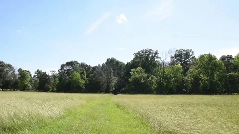 Grassy trail windy day Stock Footage 76006694