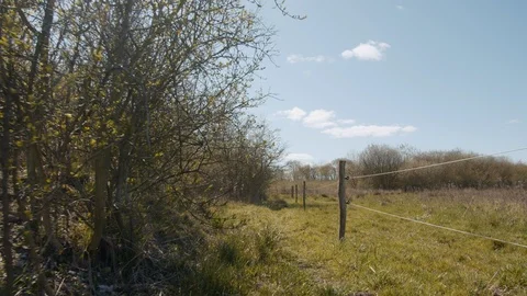 Grassy Trails and Meadows with Trees with Cable Fence Stock Footage 114573922