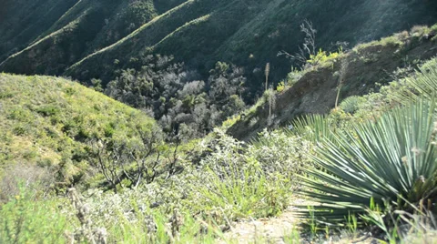 Grassy Valley Stock Footage 32221631