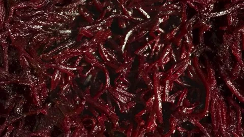 Grated beetroot texture. food background. Stock Footage 325857830