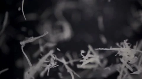 Grated cheese flying up 库存影片 64544567