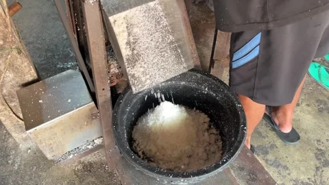 Grated coconut falling from an electric grating machine 動画素材 335805068