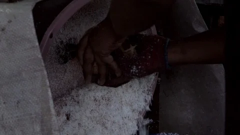 Grated Coconut Stock Footage 108846022