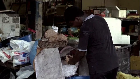 Grated coconut Stock Footage 108846485