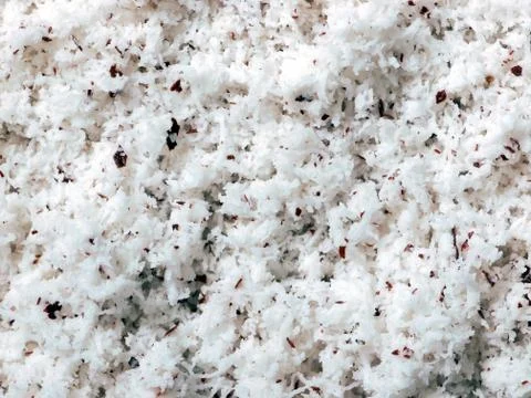Grated coconut Stock Photos