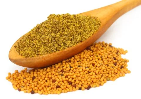 Grated mustard and paste Stock Photos