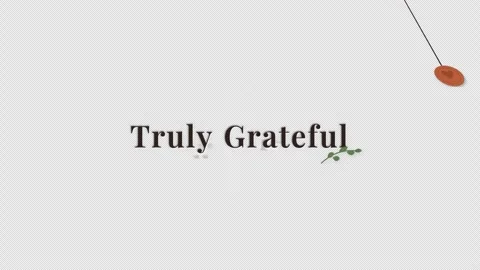 Grateful message design with decorative elements on gray background Stock Footage 344619134