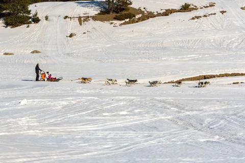 Grau Roig Andorra :  FEB 18 2020 : .Sledges pulled by dogs in Grau Roig. Gran Stock Photos