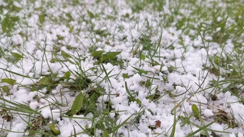Graupel or snow pellets on green grass. Snowy weather Stock Footage 152999874