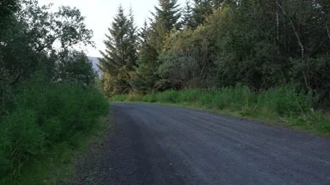 Graval road in the woods Stock Footage 341154830