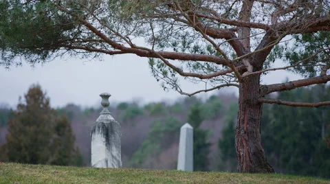 Grave and Tree 2 Stock Footage 58445383