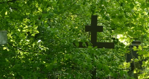 Grave cross among the greenery Stock Footage 112289643