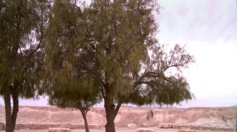 The grave of David Ben Gurion 4 Stock Footage 531432