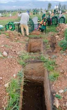 Grave digger 库存照片