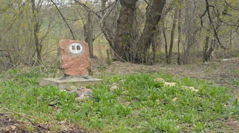 Grave of the dog Stock Footage 55632465