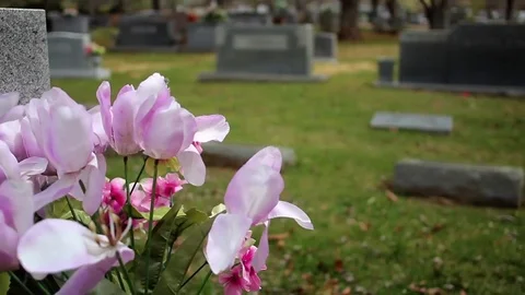 Grave Flowers Video stock 74066912