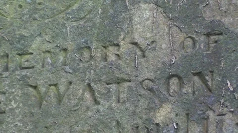 Grave Stock Footage 916529