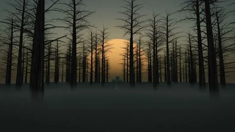 Grave Stone on a dark Forest with fog and big Sun behind Sunset Stock Footage 205440495