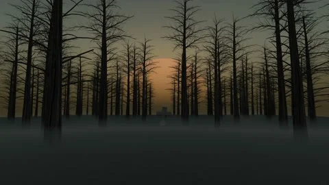Grave Stone on a dark Forest with fog and big Sun behind Sunrise Stock Footage 205440500