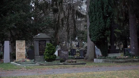 Grave stones in graveyard Video stock 100389876
