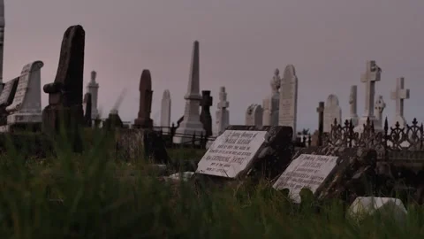 Grave stones seen through long grass Waverley Cemetery in Sydney slomo Stock Footage 273427264
