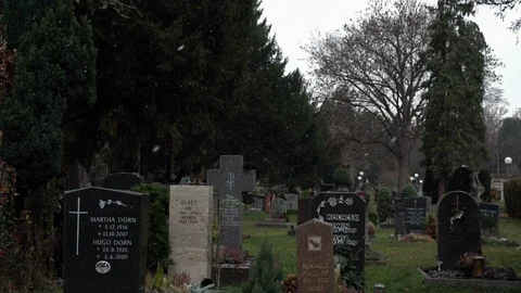 Grave stones with trees Stock Footage 100370396