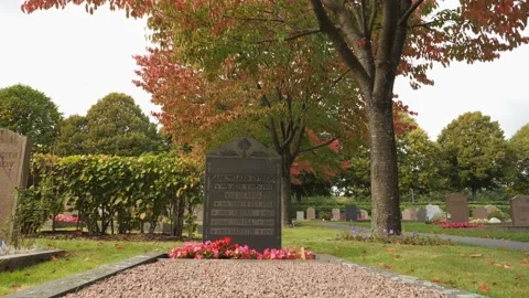 Grave Under Tree with Red Foliage at Fall, Low Angle Pan Shot Stock Footage 226799127