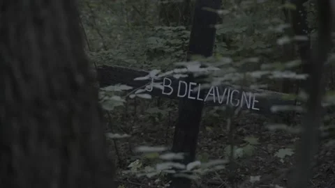 A grave in the woods Stock Footage 139172062