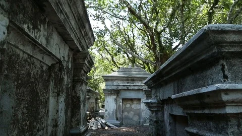 Grave yard Video stock 100996325