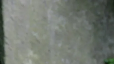 Grave yard. Head stone Stock Footage 11856182