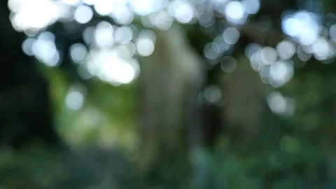 Grave yard in Kent out of focus Stock Footage 93781752