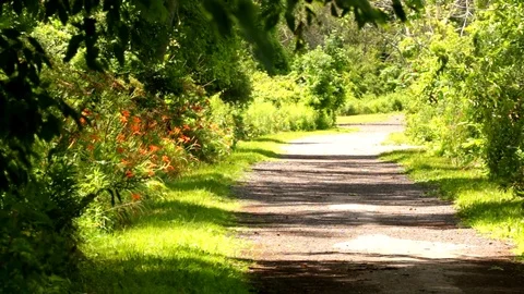 Gravel Footpath Stock Footage