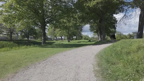 Gravel path between mature trees at Kastellet, Copenhagen Stock Footage 341289022