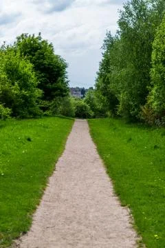 Gravel Path Between Trees Stock Photos