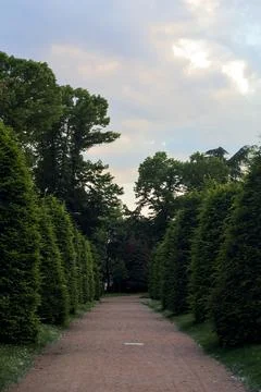 Gravel path bordered by trees and lawns in a park at sunset in an italian tow Stock Photos