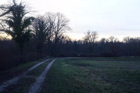 Gravel path bordered by trees next to a meadow at sunset Stock Photos