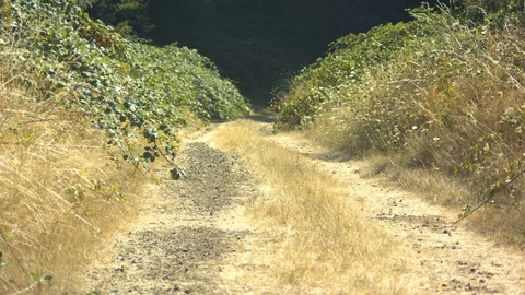 Gravel Path Stock Footage 90147570