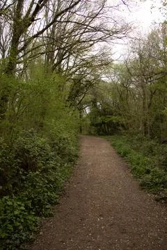 Gravel path Stock Photos