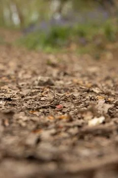 Gravel path Stock Photos