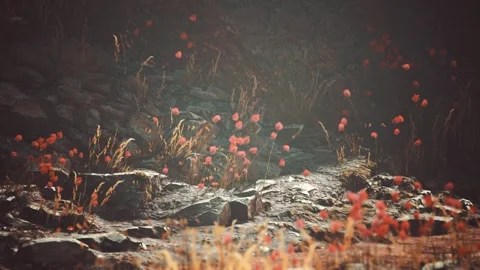 Gravel path with rocks in mountains Видео 166104161