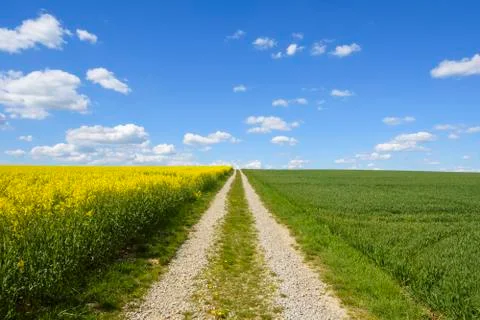 Gravel Path through Fields in Spring, Schwarzenbronn, Baden-Wurttemberg, Germany Stock Photos