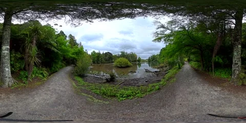 Gravel Path Through Greenery - VR360 360 Panoramic, New Zealand Stock Footage 331552757