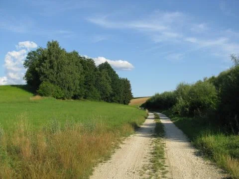 Gravel path with trees in the back Stock Photos