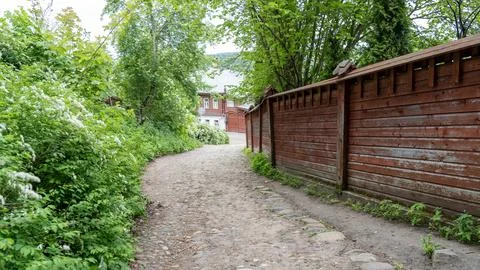 Gravel path winds through dense greenery Stock Photos