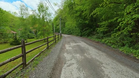 Gravel path winds through lush green forest. Grza River Spring, Serbia Vidéo 334467340