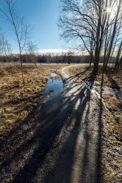 Gravel Pathway with Trees Stock Photos