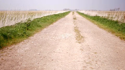 Gravel road between two fields Stock Footage 106399471