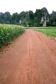 Gravel road with corn Stock Photos
